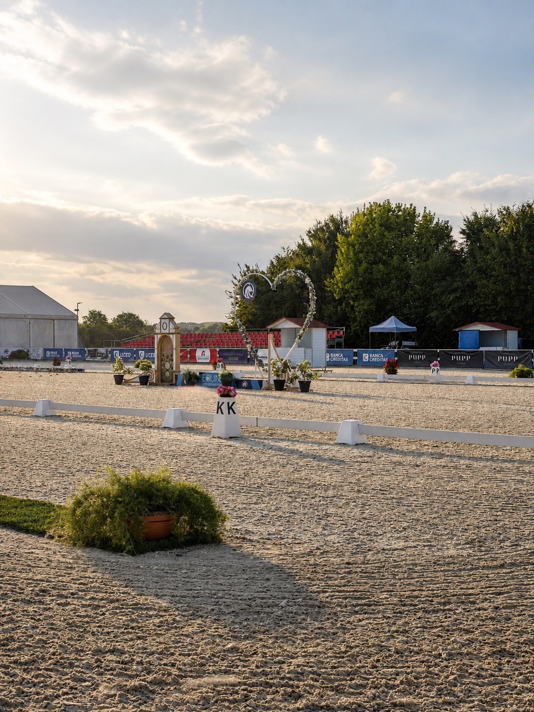 mcr-2026-arena-zlate-svetlo