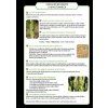 2019BONUTRON USERGUIDE 5